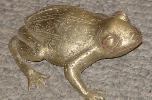 #312 - Bronze Frog, Cameroon.